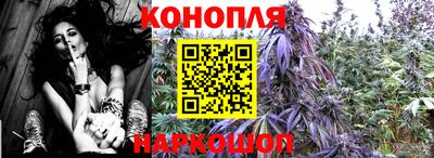 прущие крисы Дубна