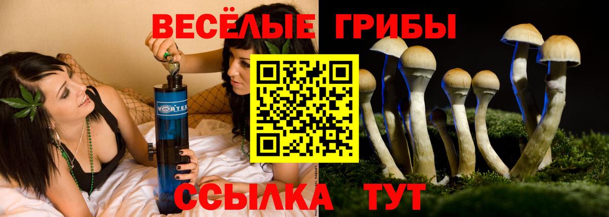 Надым  Галлюциногенные грибы Psilocybine cubensis  Галлюциногенные грибы Psilocybe  Вход с VPN 